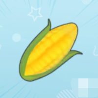玉米