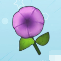 牵牛花