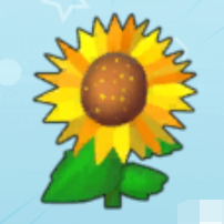 向日葵
