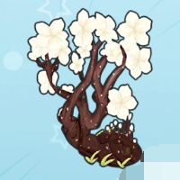 樱花树