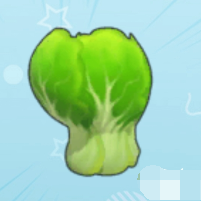 白菜