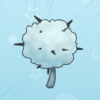 毛毛菇