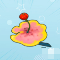毛毛花