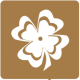 ˲