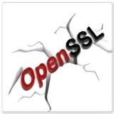 openssl windows汾