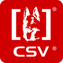 CSV(¹Ȯֲ)