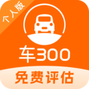 300ֳ