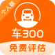 300ֳ