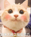 ɰèͼƬˮӡ