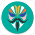 magisk19ˢ