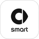 smart