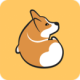 Corgi