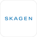 Skagen Connected