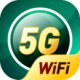 5G