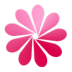 ʶ