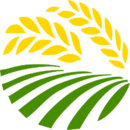 ƻ