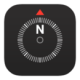 Ϊָ