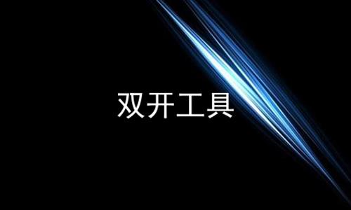 ˫