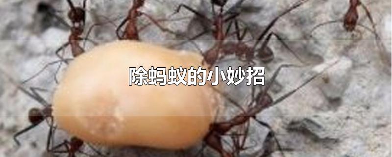 ϵС