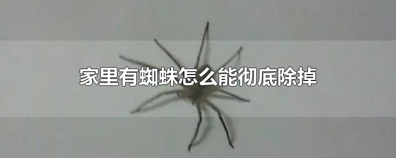 ֩ôܳ׳