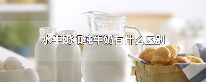ˮţ̺ʹţʲô