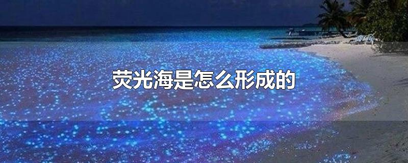 ӫ⺣ôγɵ
