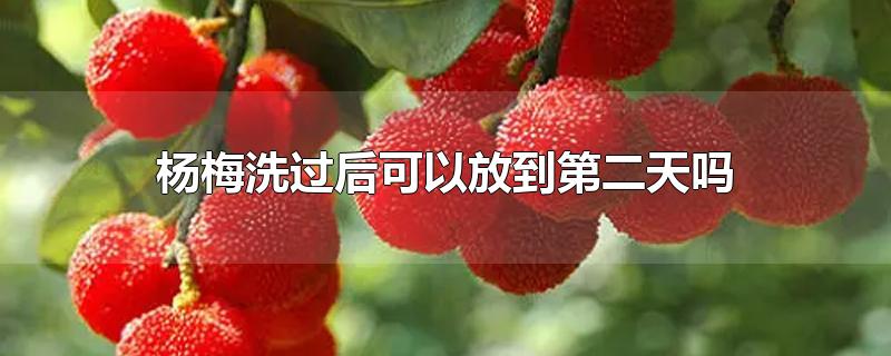 ÷ϴԷŵڶ