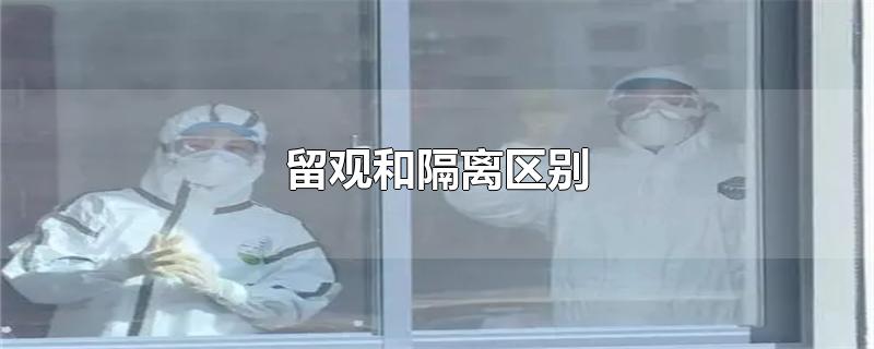 ۺ͸