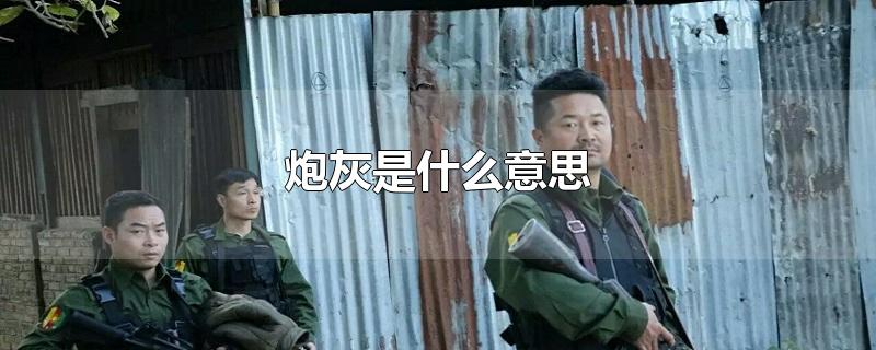 ڻʲô˼