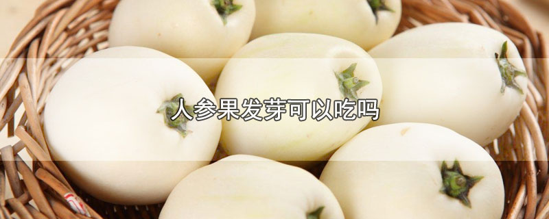 ˲ιѿԳ