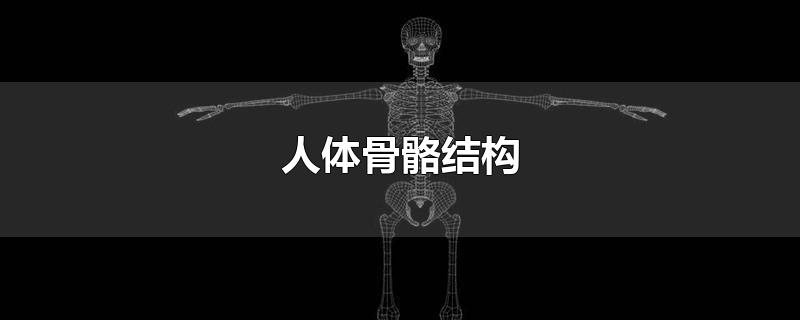 ṹ