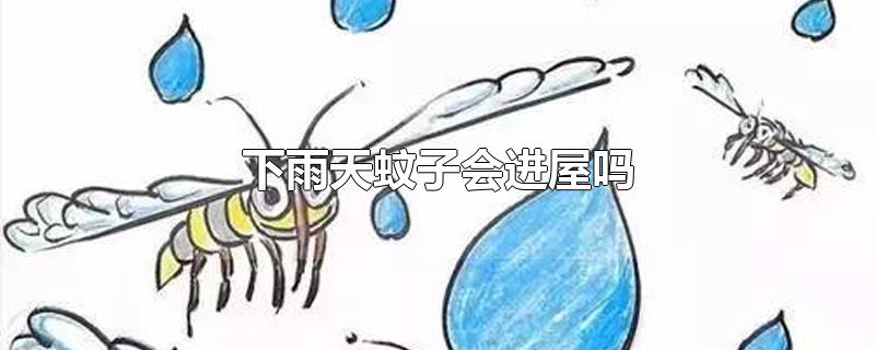 ӻ