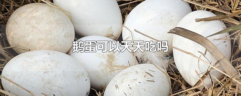 쵰