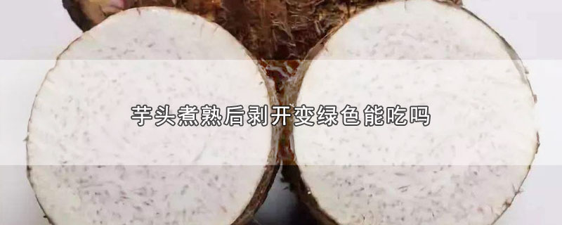 ͷɫܳ