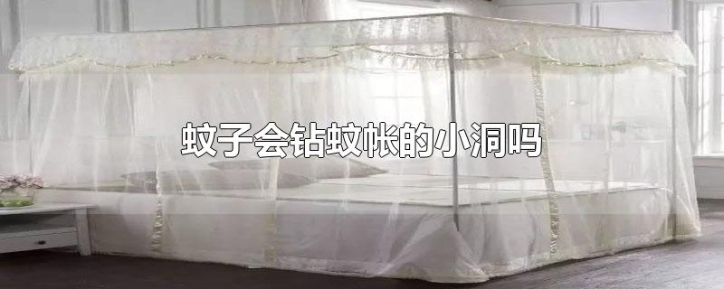 ӻʵС