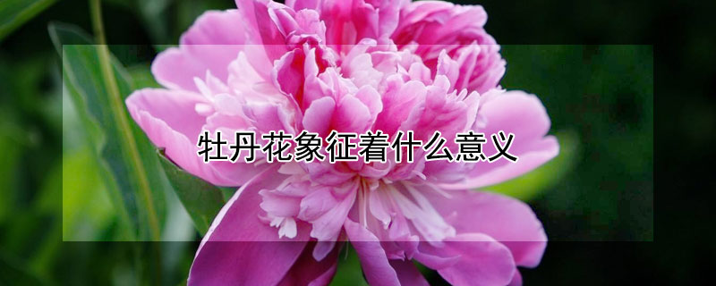 ĵʲô壨ĵʲô