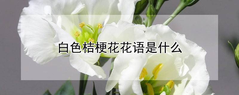 ɫ۹ʲôɫ۹Ԣ⣩