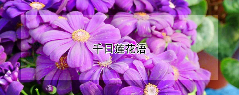 ǧǧʲôԢ⣩