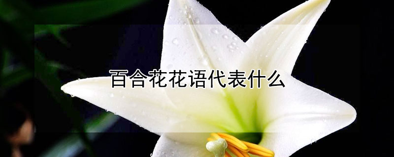 ٺϻʲôٺϻԢ⣩