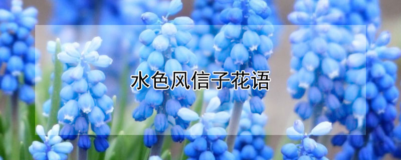 ˮɫӵĻˮɫӵԢ⣩