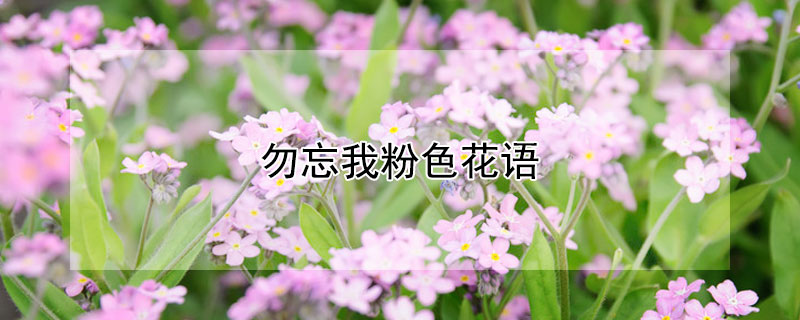 ҷɫɫҵԢ⣩