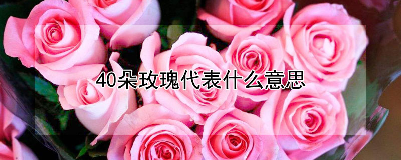 40õʲô˼40õԢ⣩