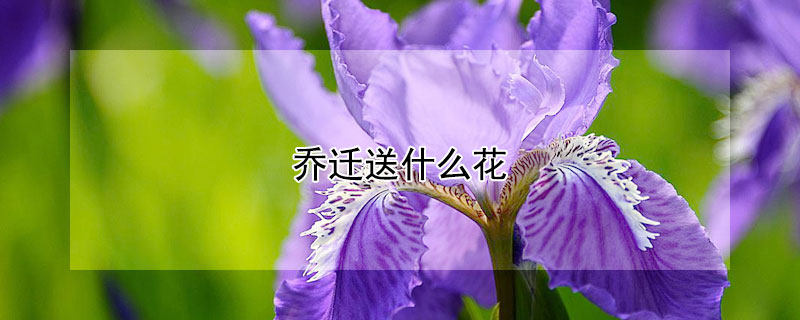 ǨʲôãǨЩ
