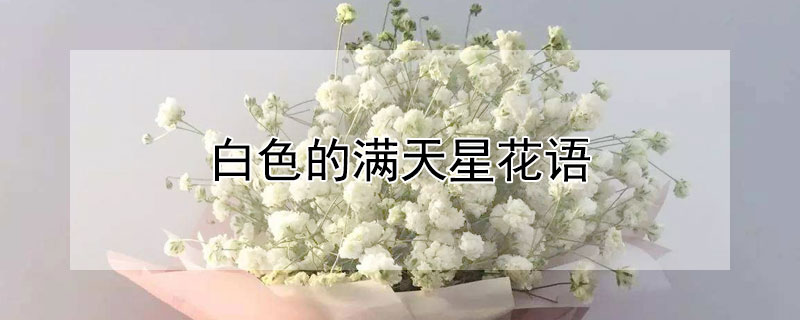ɫǻﺬʲôɫʲôԢ⣿