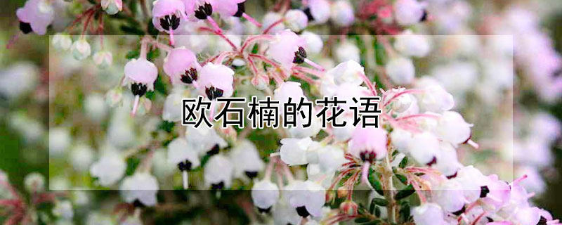 ŷʯ骵ĻﺬܣŷʯʲôԢ⣩
