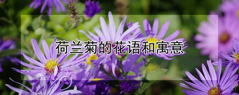 յĻԢʲôʺ͸ʲôˣ
