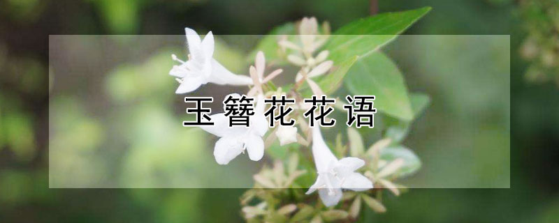 ĻʲôԢ⣩