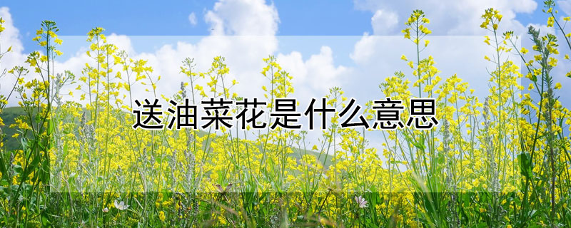 Ͳ˻ʲô˼Ͳ˻ʲôԢ⣿