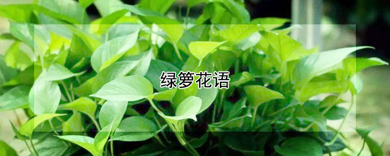 Ứ