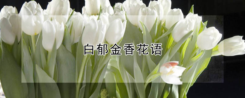 ĻʲôԢ⣿